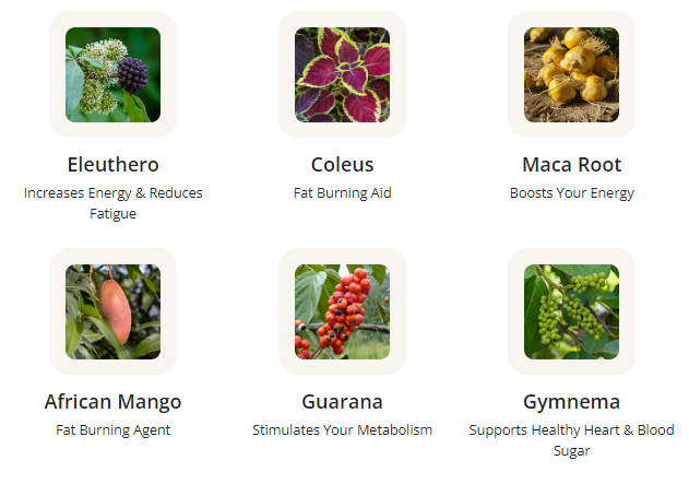 GlucoTonic Review