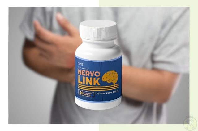NervoLink Review