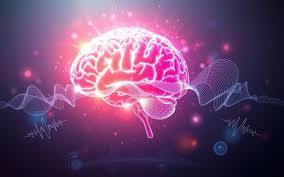Genius Brain Signal Review