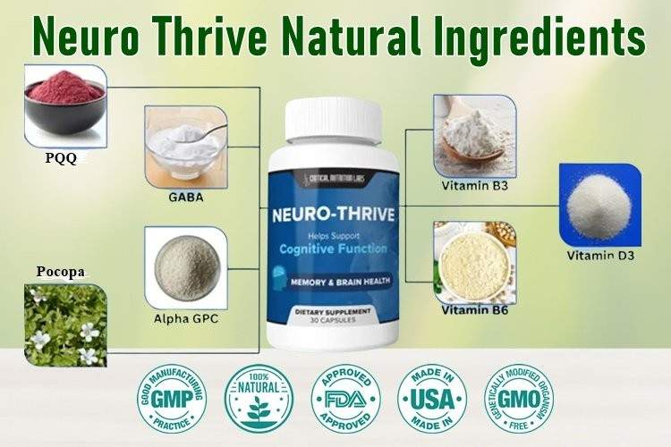 Neuro Thrive Review