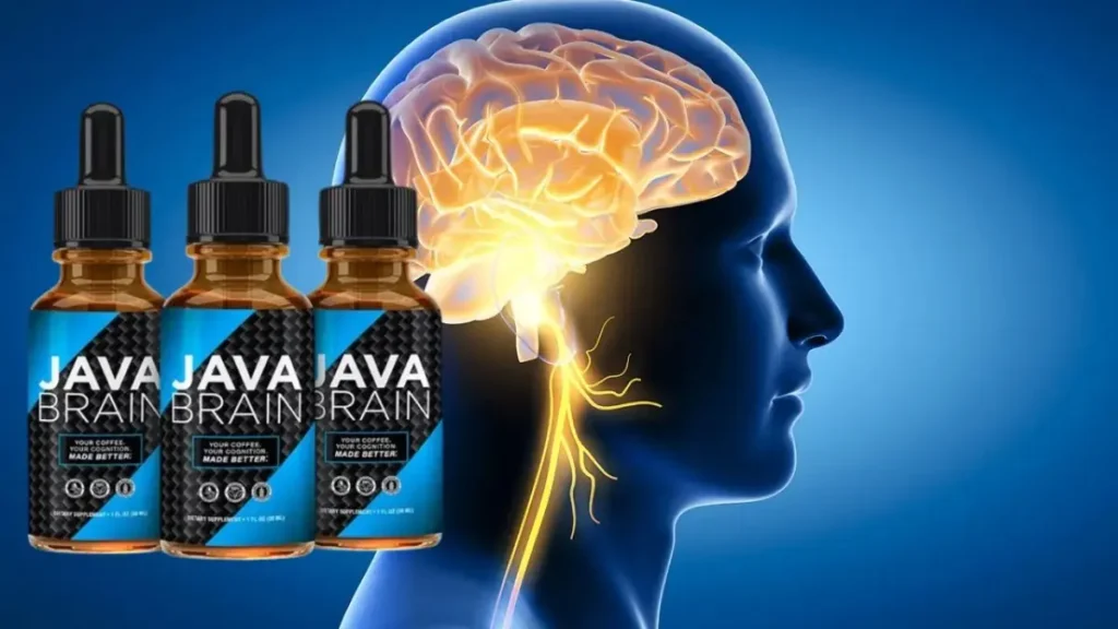 Java Brain Review