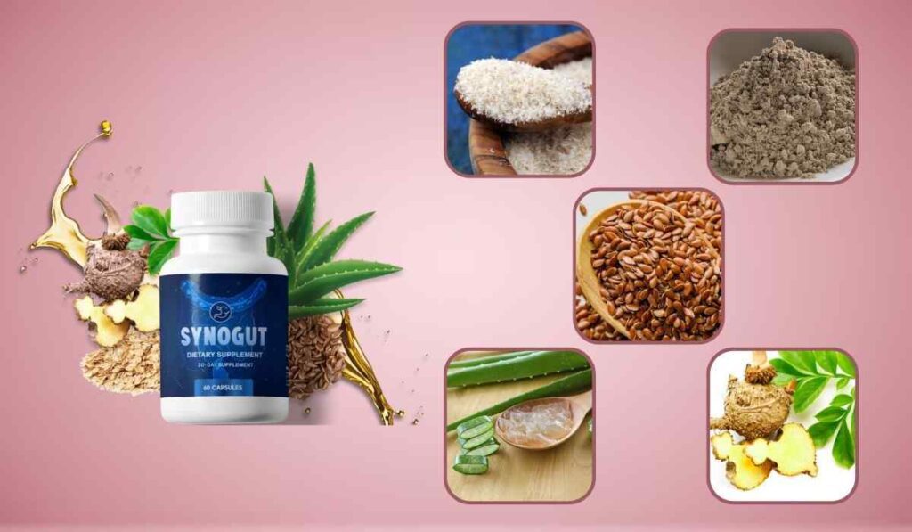 SynoGut Review