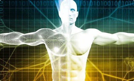 Wealth DNA Code Review
