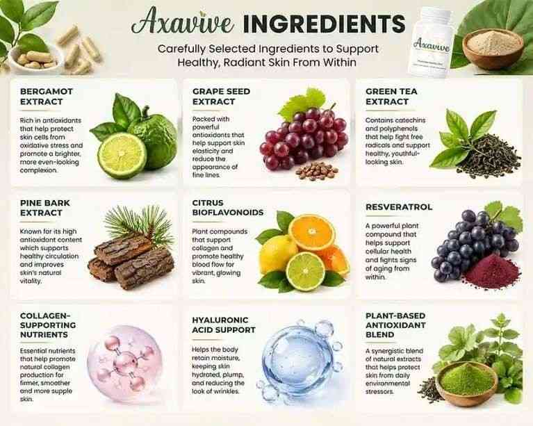 Axavive Review