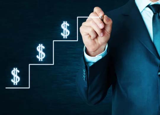 Rapid Wealth Key Review